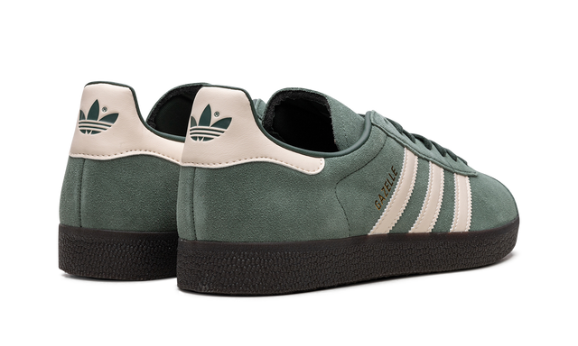 Gazelle Mexico